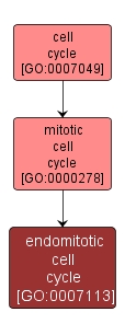 GO:0007113 - endomitotic cell cycle (interactive image map)