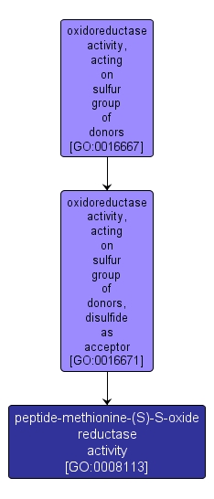 GO:0008113 - peptide-methionine-(S)-S-oxide reductase activity (interactive image map)