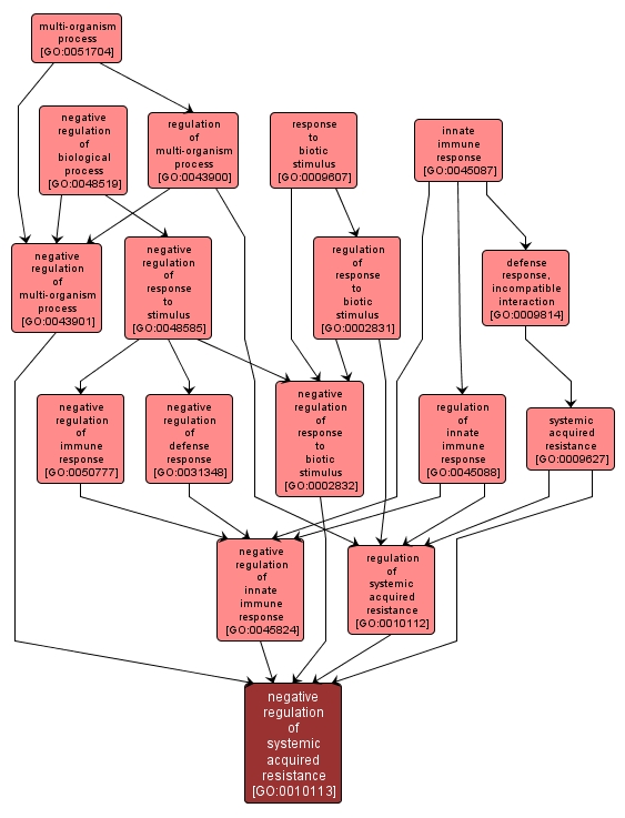 GO:0010113 - negative regulation of systemic acquired resistance (interactive image map)