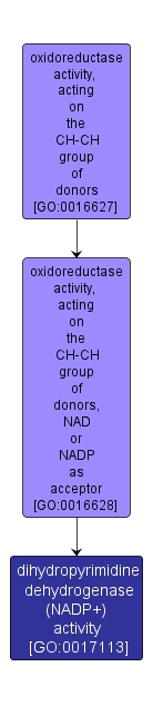 GO:0017113 - dihydropyrimidine dehydrogenase (NADP+) activity (interactive image map)