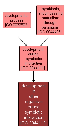 GO:0044113 - development in other organism during symbiotic interaction (interactive image map)