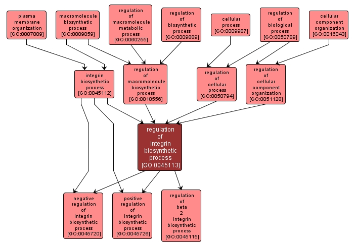 GO:0045113 - regulation of integrin biosynthetic process (interactive image map)