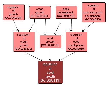 GO:0080113 - regulation of seed growth (interactive image map)
