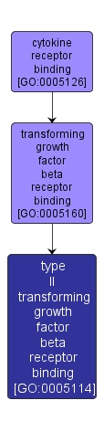 GO:0005114 - type II transforming growth factor beta receptor binding (interactive image map)