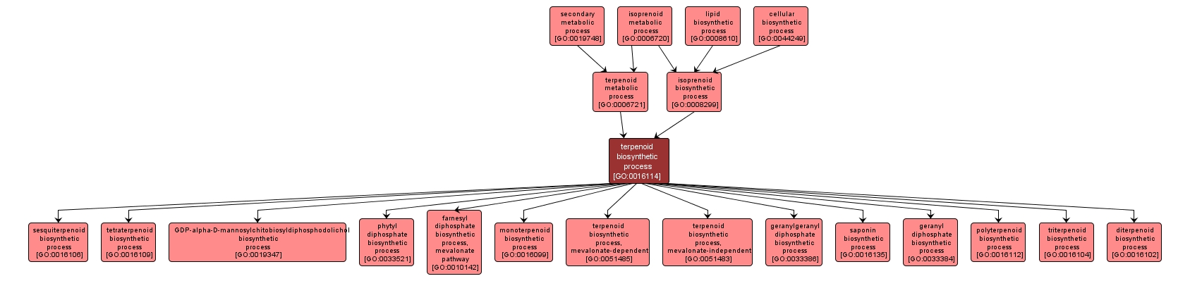 GO:0016114 - terpenoid biosynthetic process (interactive image map)