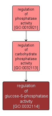 GO:0032114 - regulation of glucose-6-phosphatase activity (interactive image map)