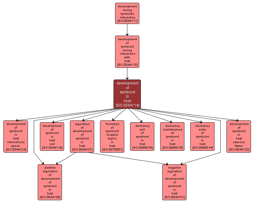 GO:0044114 - development of symbiont in host (interactive image map)