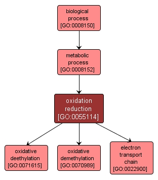 GO:0055114 - oxidation reduction (interactive image map)