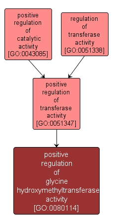 GO:0080114 - positive regulation of glycine hydroxymethyltransferase activity (interactive image map)