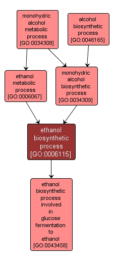 GO:0006115 - ethanol biosynthetic process (interactive image map)