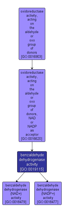 GO:0019115 - benzaldehyde dehydrogenase activity (interactive image map)