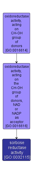 GO:0032115 - sorbose reductase activity (interactive image map)