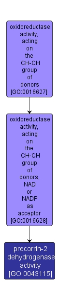 GO:0043115 - precorrin-2 dehydrogenase activity (interactive image map)