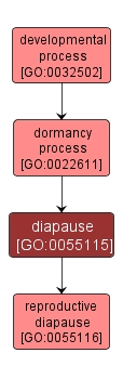 GO:0055115 - diapause (interactive image map)