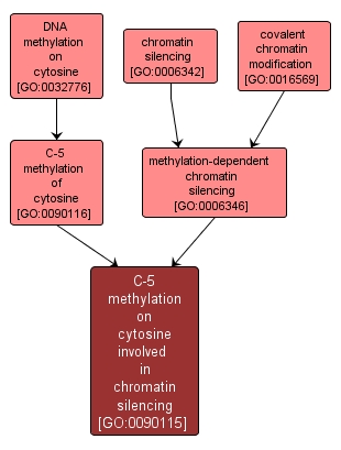 GO:0090115 - C-5 methylation on cytosine involved in chromatin silencing (interactive image map)