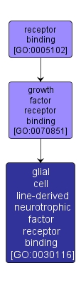 GO:0030116 - glial cell line-derived neurotrophic factor receptor binding (interactive image map)