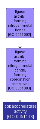 GO:0051116 - cobaltochelatase activity (interactive image map)