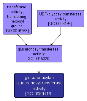 GO:0080116 - glucuronoxylan glucuronosyltransferase activity (interactive image map)