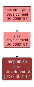 GO:0002117 - amphibian larval development (interactive image map)