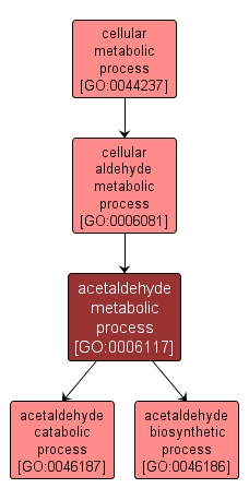 GO:0006117 - acetaldehyde metabolic process (interactive image map)