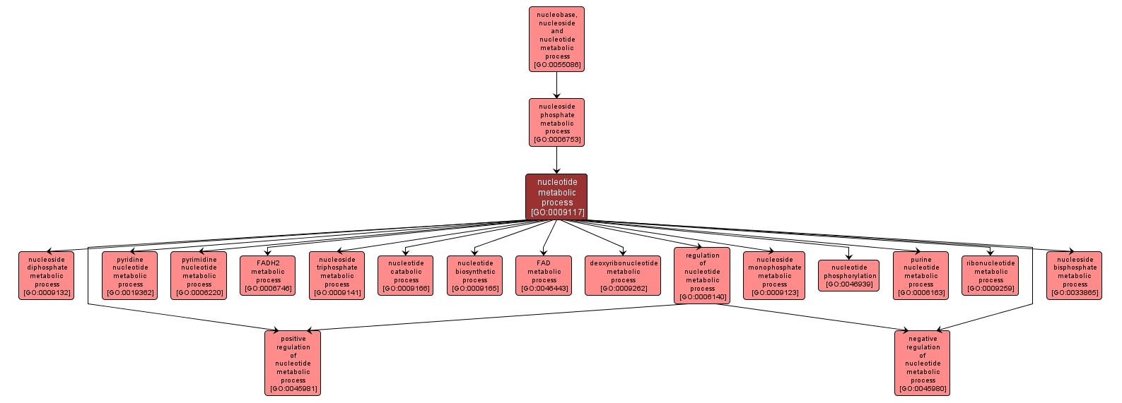 GO:0009117 - nucleotide metabolic process (interactive image map)