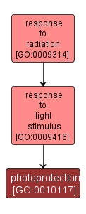 GO:0010117 - photoprotection (interactive image map)