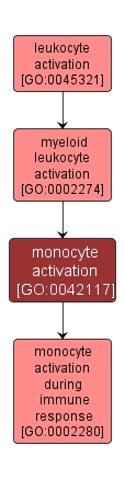 GO:0042117 - monocyte activation (interactive image map)