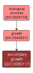 GO:0080117 - secondary growth (interactive image map)