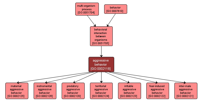 GO:0002118 - aggressive behavior (interactive image map)