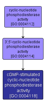 GO:0004118 - cGMP-stimulated cyclic-nucleotide phosphodiesterase activity (interactive image map)