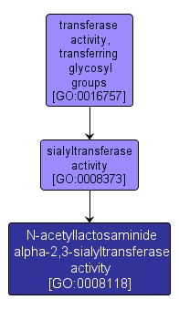 GO:0008118 - N-acetyllactosaminide alpha-2,3-sialyltransferase activity (interactive image map)