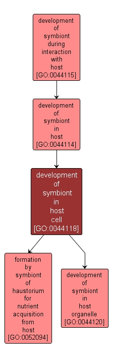 GO:0044118 - development of symbiont in host cell (interactive image map)