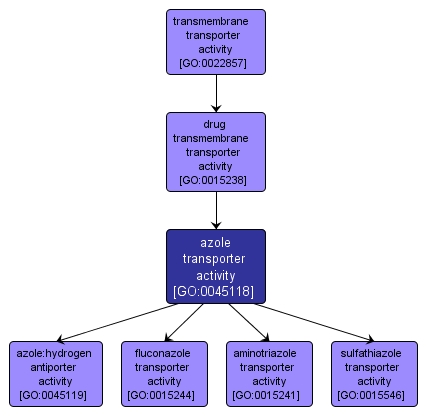 GO:0045118 - azole transporter activity (interactive image map)