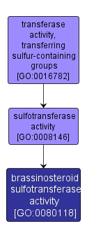 GO:0080118 - brassinosteroid sulfotransferase activity (interactive image map)