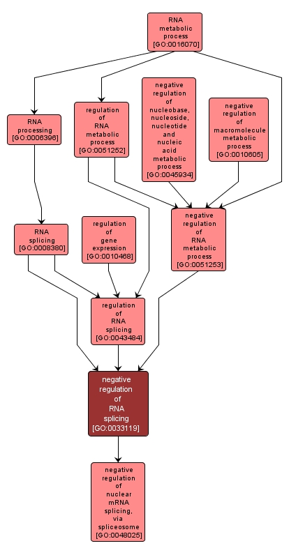 GO:0033119 - negative regulation of RNA splicing (interactive image map)