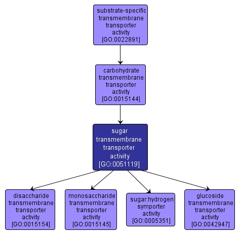 GO:0051119 - sugar transmembrane transporter activity (interactive image map)