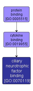 GO:0070119 - ciliary neurotrophic factor binding (interactive image map)