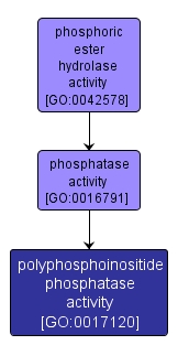 GO:0017120 - polyphosphoinositide phosphatase activity (interactive image map)