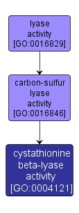 GO:0004121 - cystathionine beta-lyase activity (interactive image map)