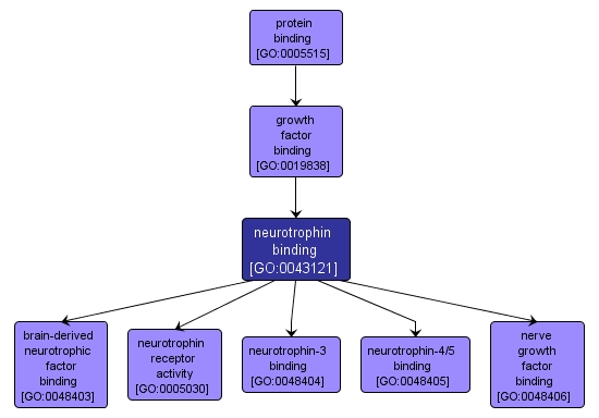 GO:0043121 - neurotrophin binding (interactive image map)