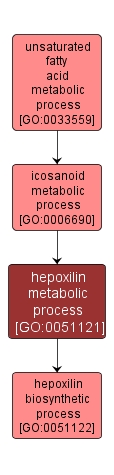 GO:0051121 - hepoxilin metabolic process (interactive image map)