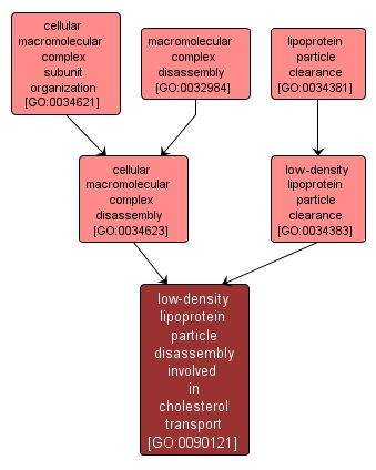 GO:0090121 - low-density lipoprotein particle disassembly involved in cholesterol transport (interactive image map)