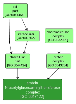 GO:0017122 - protein N-acetylglucosaminyltransferase complex (interactive image map)