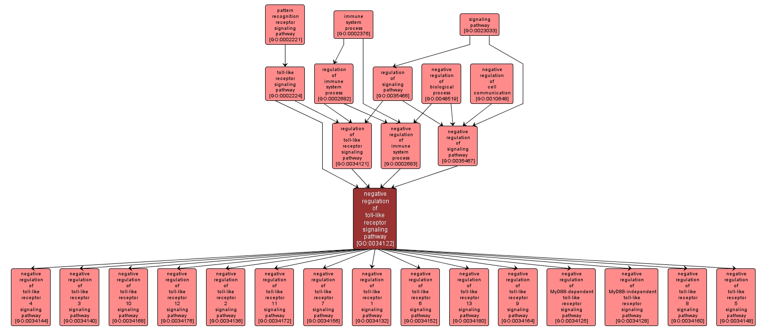 GO:0034122 - negative regulation of toll-like receptor signaling pathway (interactive image map)