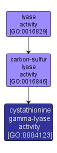 GO:0004123 - cystathionine gamma-lyase activity (interactive image map)