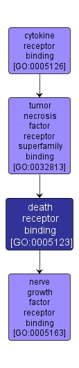 GO:0005123 - death receptor binding (interactive image map)