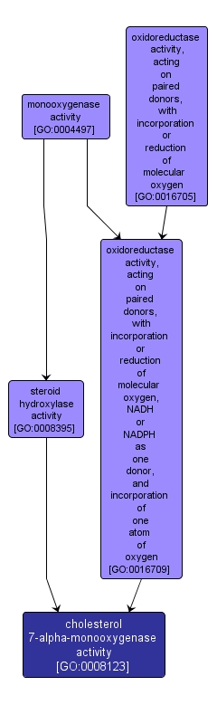 GO:0008123 - cholesterol 7-alpha-monooxygenase activity (interactive image map)