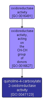 GO:0047123 - quinoline-4-carboxylate 2-oxidoreductase activity (interactive image map)