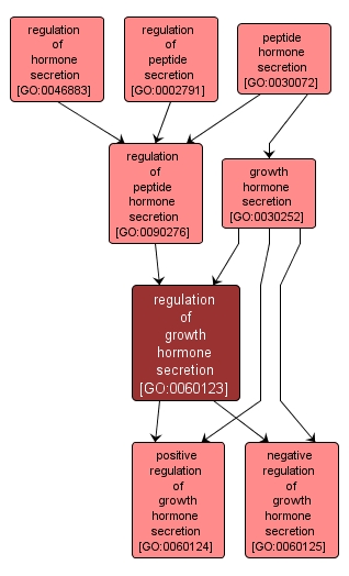 GO:0060123 - regulation of growth hormone secretion (interactive image map)