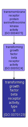 GO:0070123 - transforming growth factor beta receptor activity, type III (interactive image map)